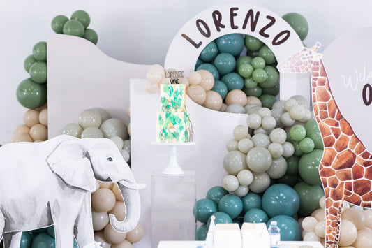 Wild One Theme Party