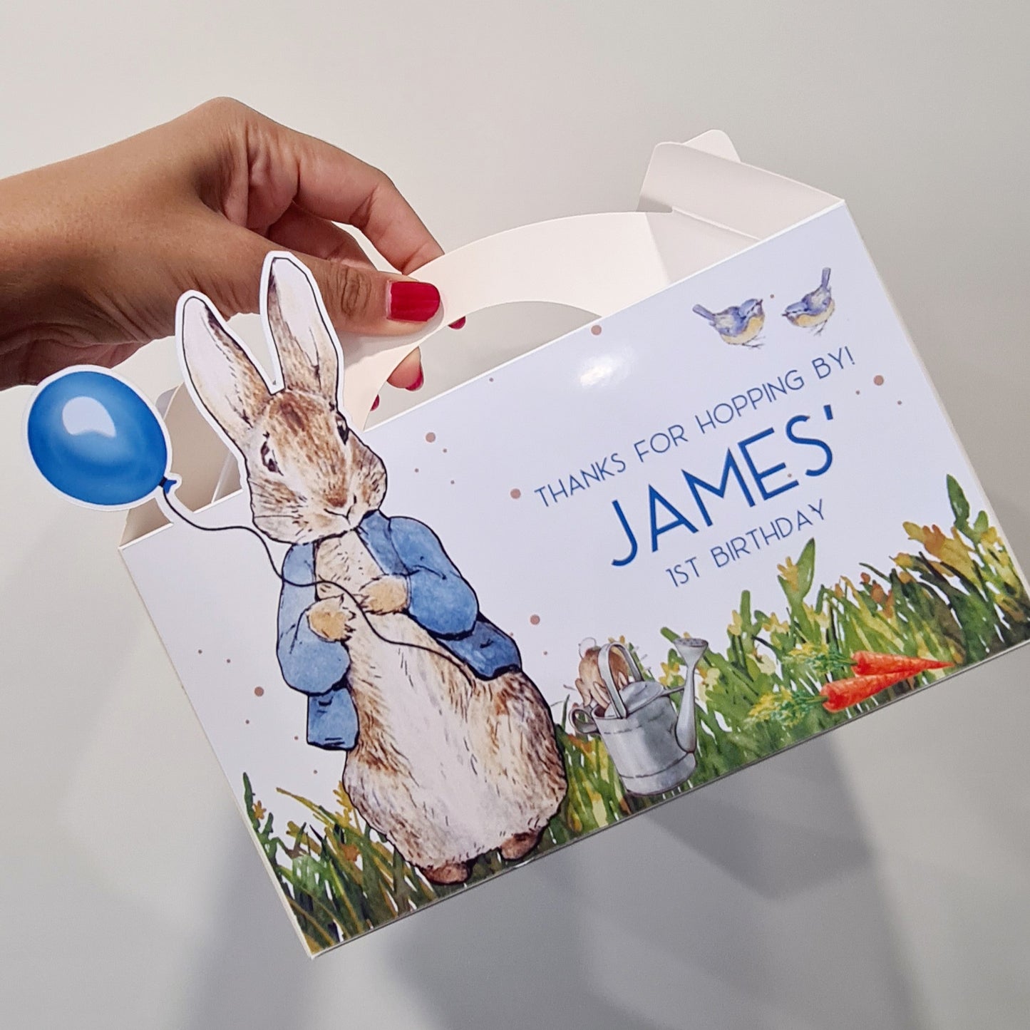 Peter Rabbit Party Box