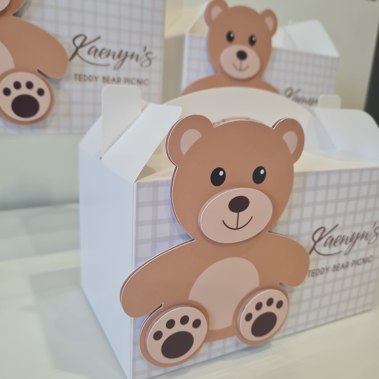 Teddy Bear Picnic Theme Party Box Birthday Party Favours